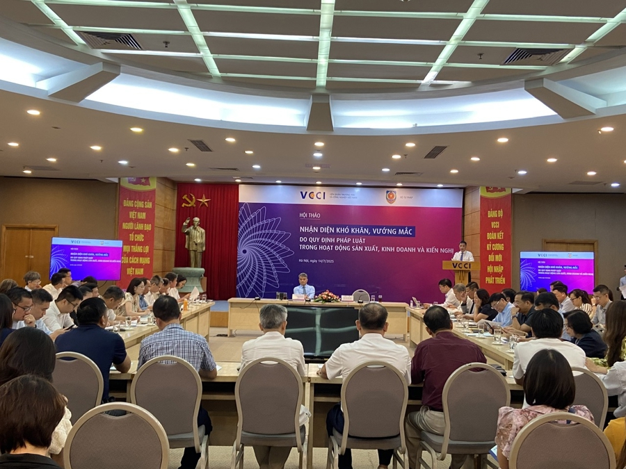 Pháp luật kinh doanh còn nhiều bất cập “cản đường” doanh nghiệp - Ảnh 1