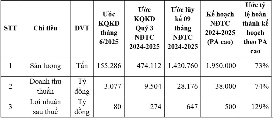 Bảng tổng hợp ước kết quả kinh doanh hợp nhất của HSG 9 th&aacute;ng ni&ecirc;n độ t&agrave;i ch&iacute;nh 2024 - 2025.