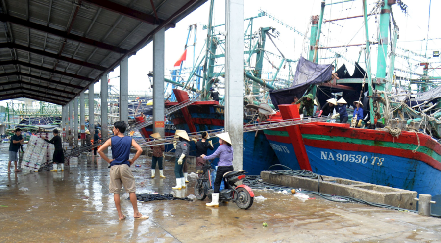 Ngư dacirc;n Nghệ Annbsp;chủ động neo đậu tagrave;u thuyền traacute;nh truacute; batilde;o.nbsp;Ảnh: Xuacirc;n Hoagrave;ng