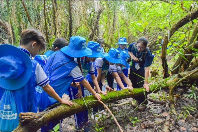 Hoạt động trải nghiệm rừng cho học sinh tiểu học và giáo viên, cán bộ giáo dục tỉnh Bến Tre, tháng 5/2025.