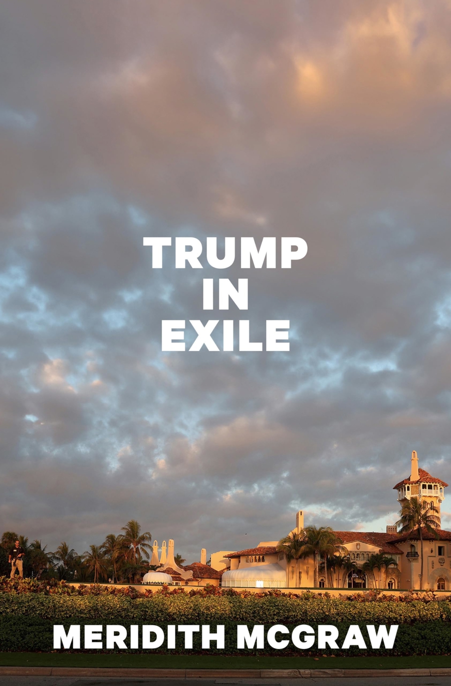 Sách về Tổng thống Trump 2.0 tiêu thụ chậm - Ảnh 4