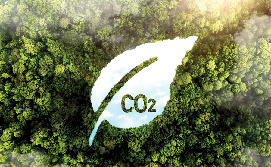 Chuẩn bị điều kiện cho vận hành, phát triển thị trường carbon - Ảnh 2
