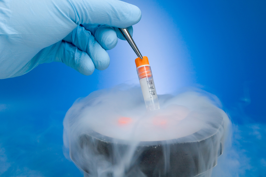 Phụ nữ độc thân làm IVF sinh con: Cần điều kiện và lưu ý gì? - Ảnh 3