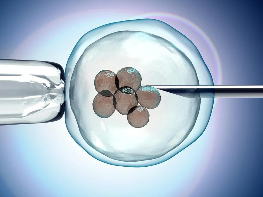 Phụ nữ độc thân làm IVF sinh con: Cần điều kiện và lưu ý gì? - Ảnh 4
