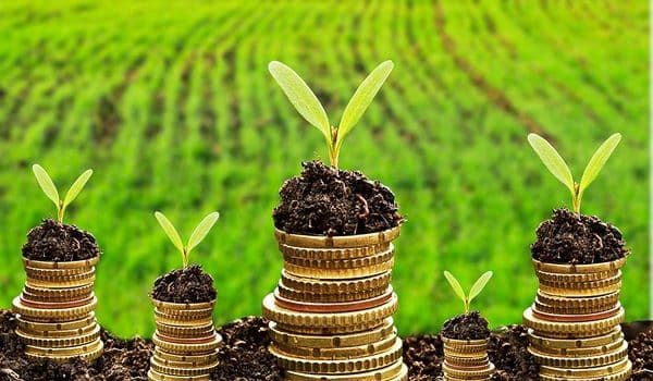 Chuyển mạnh từ tư duy bảo vệ môi trường sang kinh tế môi trường để kiến tạo chính sách - Ảnh 1