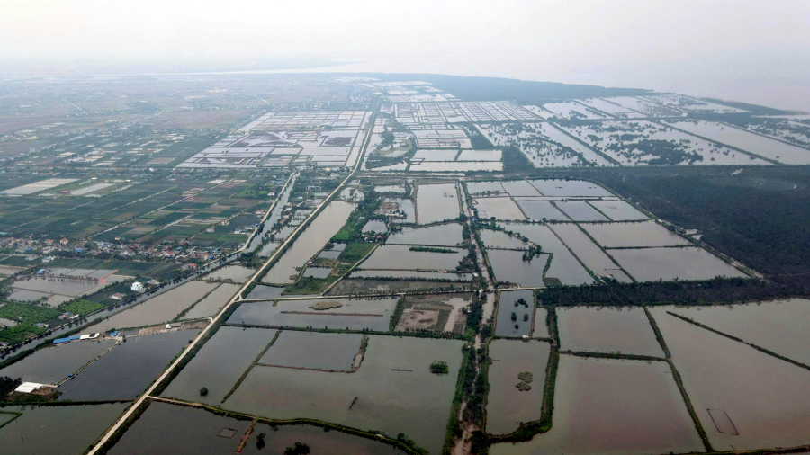 Khu vực xã Chấn Hưng, nơi được quy hoạch Sân bay Tiên Lãng và khu công nghiệp Sân bay Tiên Lãng, phần lớn là đất trồng lúa và nuôi trồng thuỷ sản.