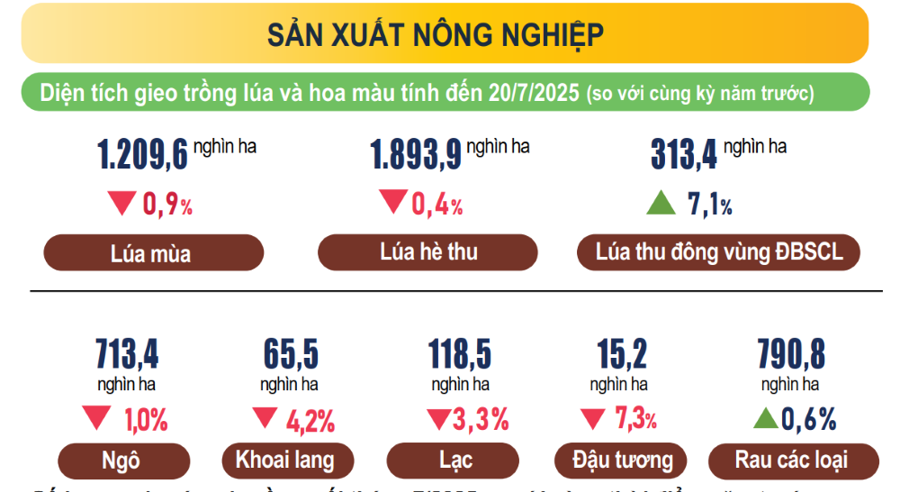 Sản xuất nông nghiệp 7 tháng năm 2025 tăng trưởng ổn định - Ảnh 1