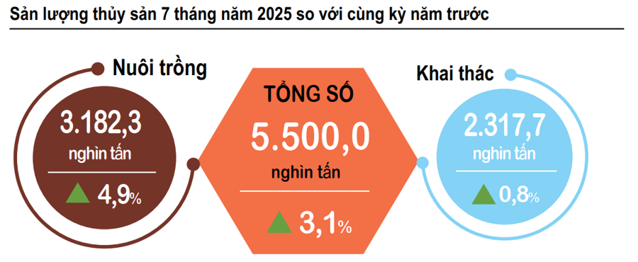 Sản xuất nông nghiệp 7 tháng năm 2025 tăng trưởng ổn định - Ảnh 2
