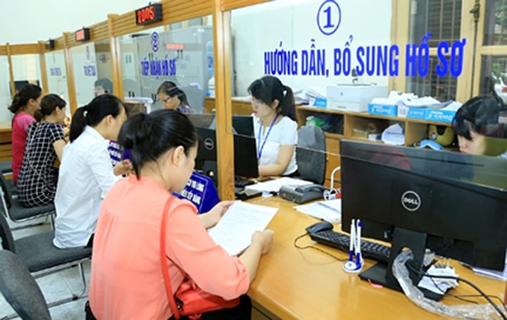 Cắt giảm, đơn giản hóa nhiều thủ tục sản xuất, đầu tư kinh doanh lĩnh vực nông nghiệp và môi trường - Ảnh 1